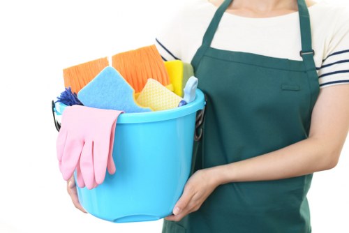 Oven cleaning with grease removal supplies in a kitchen