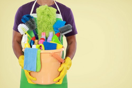 Professional move in cleaning for a bright new home interior