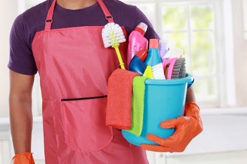 Move out cleaning supplies arranged for a property cleaning task