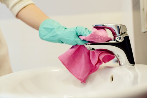 Domestic cleaning essentials in a tidy home