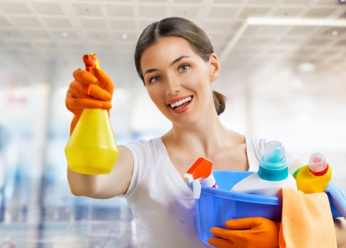 Professional carpet cleaning in a living room