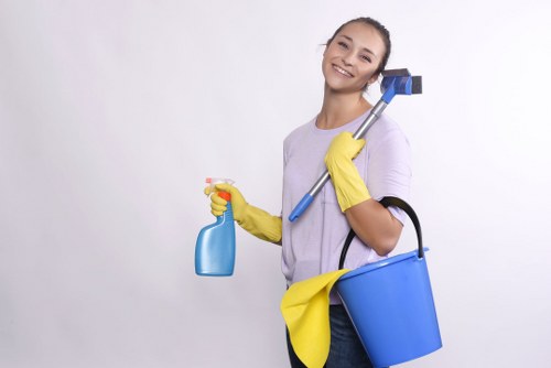 Room-by-room domestic cleaning tasks