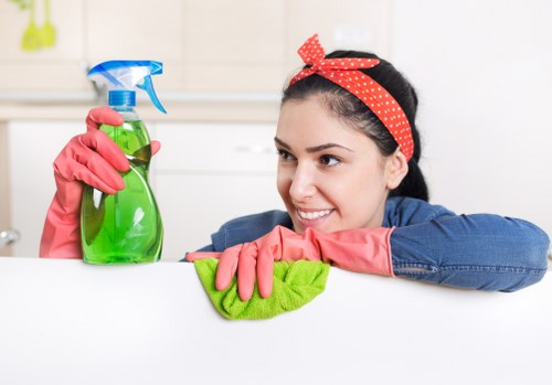 Natural oven cleaning ingredients like baking soda and vinegar
