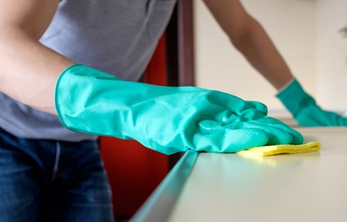 Tools and products used for domestic cleaning