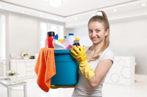 Professional rug cleaning tools and a patterned rug